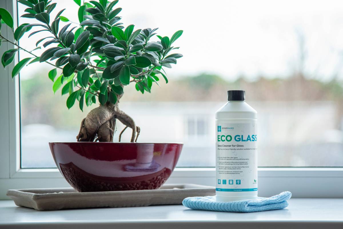 Why Ecosense Cleaning Training Benefits Your Yoga Practice—and the Planet