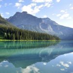 Why Your Eco Rubber Yoga Mats Deserve Better Than Store-Bought Cleaners